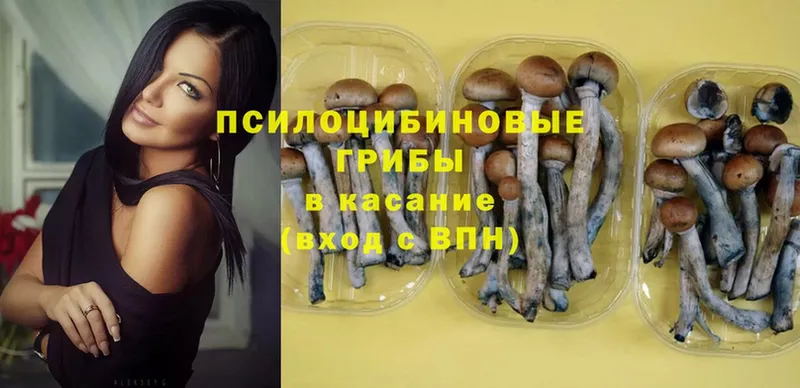 где продают   Октябрьск  Псилоцибиновые грибы Psilocybine cubensis 